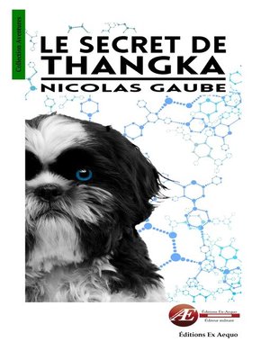 cover image of Le secret de Thangka